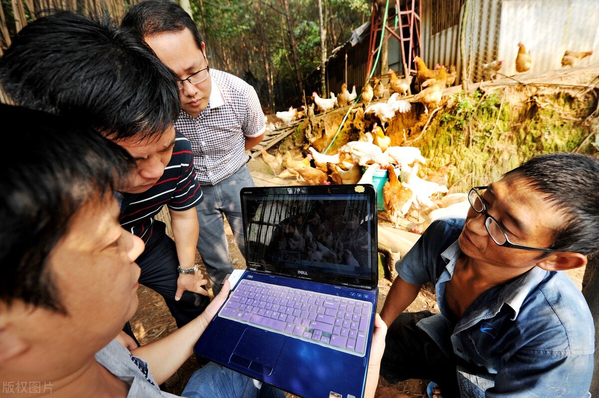 边旅游边挣钱的方法,边旅游边卖水果挣钱的方法