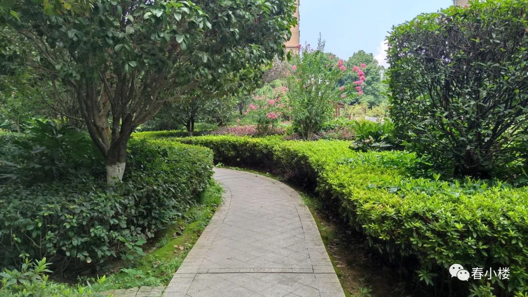 辉煌国际城三期七栋,辉煌国际城三期测评