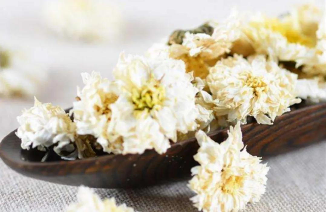 不同品种菊花的功效视频,不同种类的菊花功效是否一样