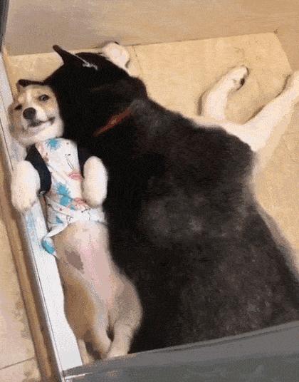 手机充电太慢怎么办vivo,安卓手机充电太慢怎么办