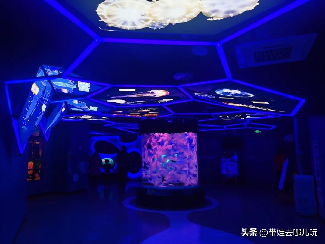 天津海昌极地海洋公园冬天营业吗,天津海昌极地海洋公园游玩攻略