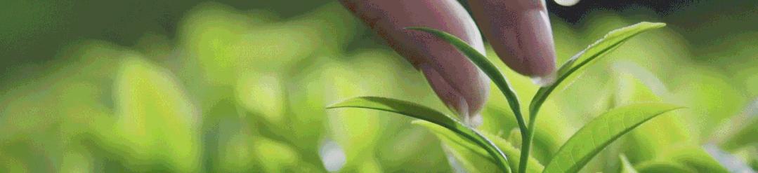 莒南2023年事业单位招聘岗位表,莒南事业单位招聘