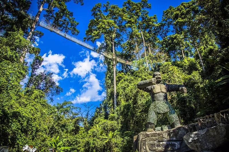 云南西双版纳旅游攻略app,云南西双版纳旅游攻略自由行12月