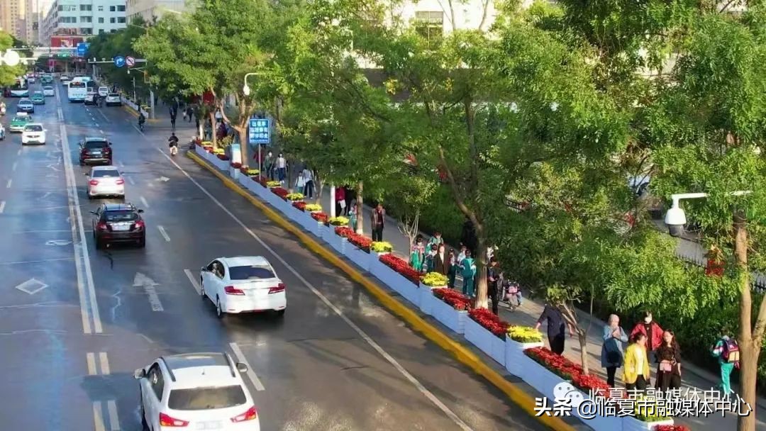 临夏湿地公园建设项目,临夏城市公园绿化工程