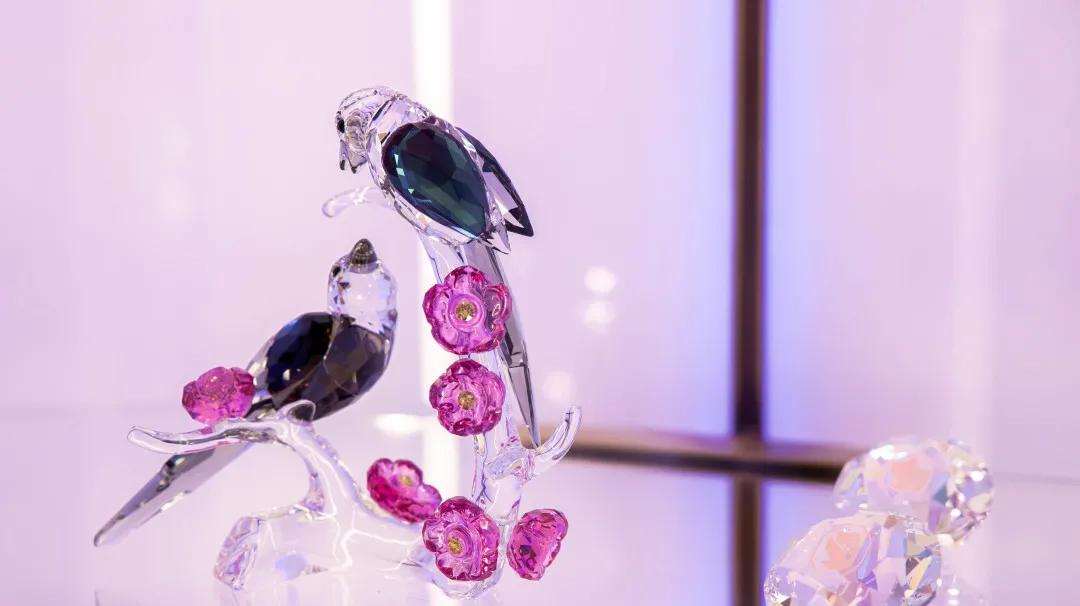 swarovski施华洛世奇旗舰店直播,swarovski旗舰店直播