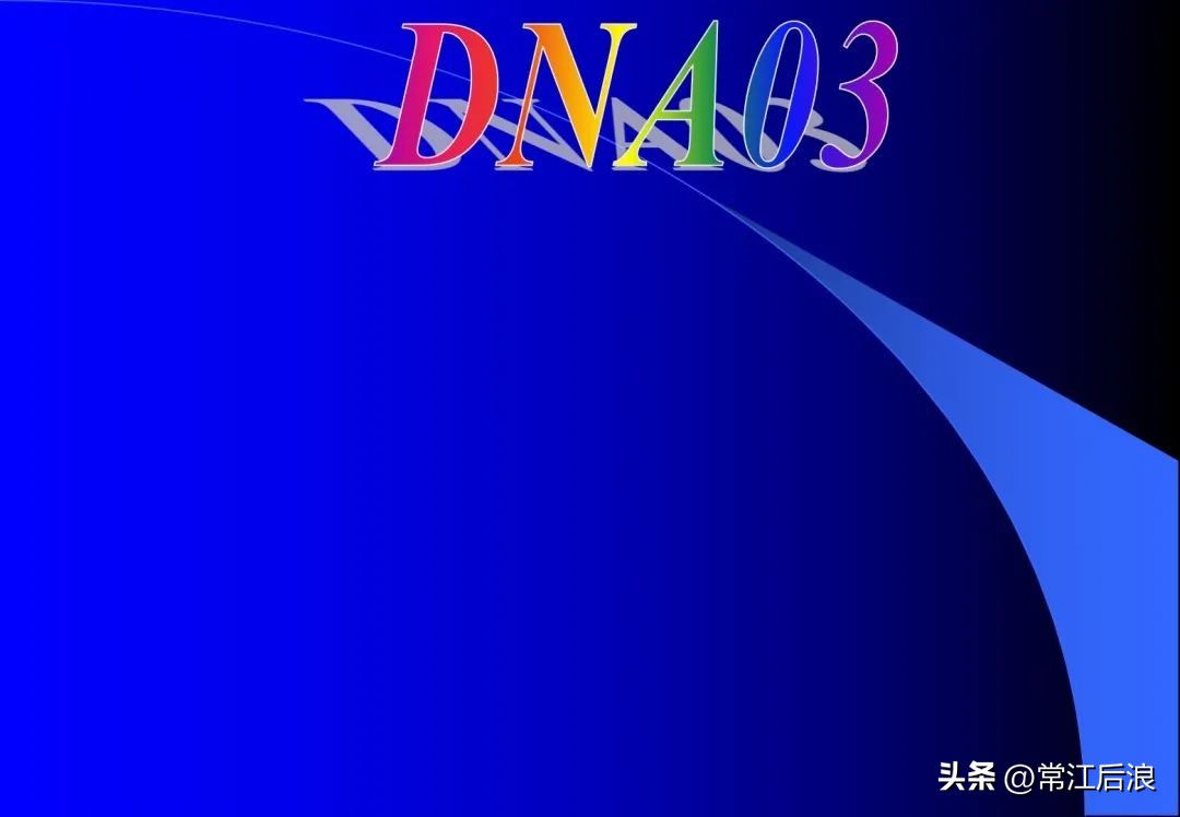 徕卡dna03水准仪是数字水准仪吗,徕卡dna03电子水准仪屏幕数据