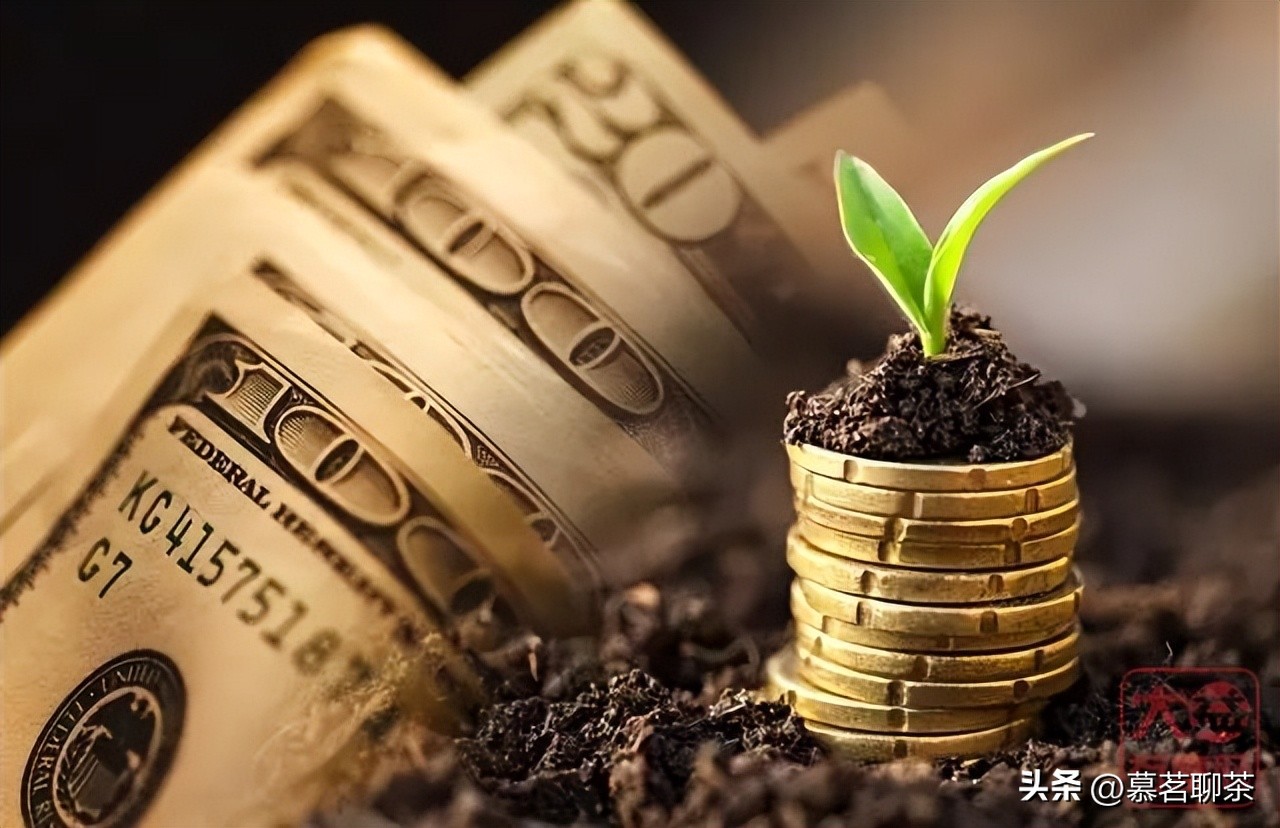 再美的泡沫也有被戳破的一天，普洱金融茶，梦该醒了！