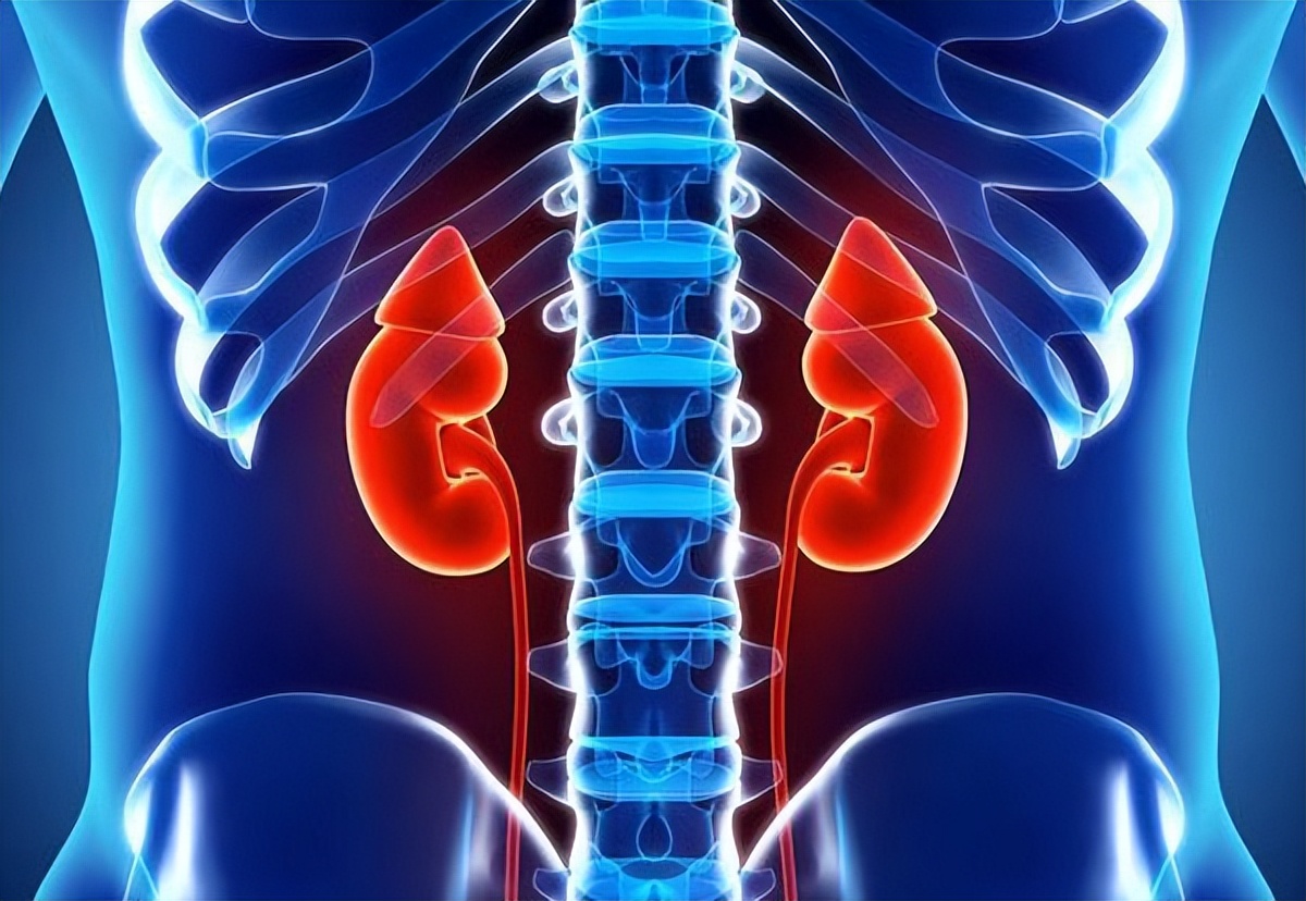 男子痛风血尿查出肾衰，吃3种食物容易尿酸高，中医治疗尿酸肾病