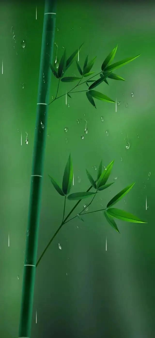 护眼壁纸动态壁纸高清全屏90帧,华为绿色养眼护眼壁纸