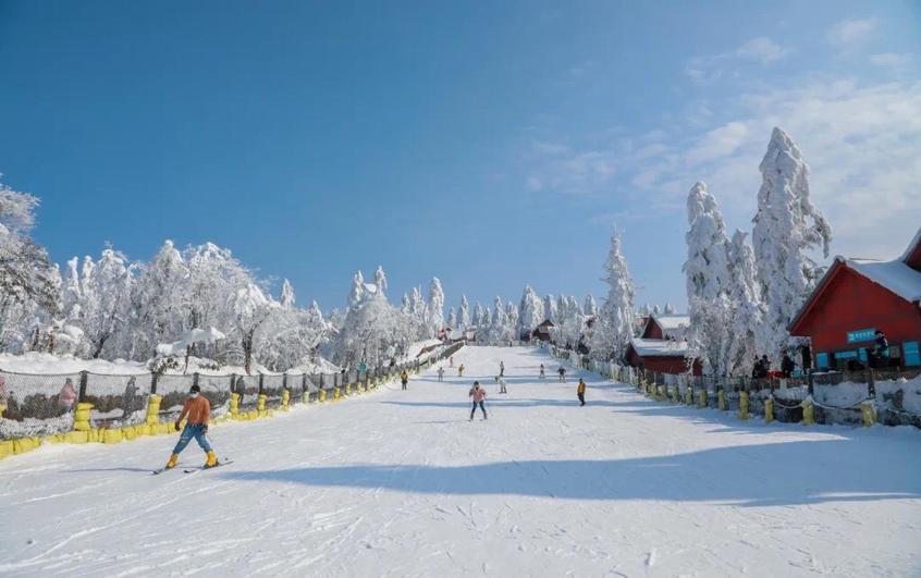 宜居成都的感受,宜居城市都江堰