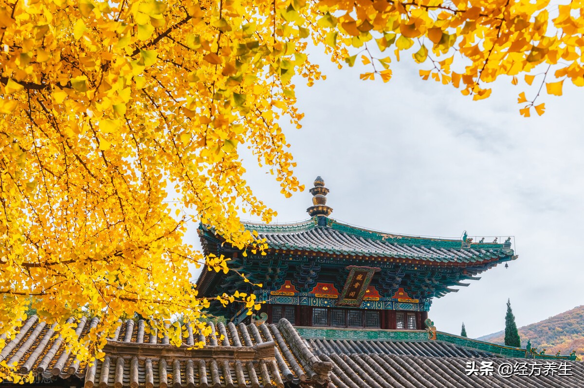 为什么药材没有效果,单一的药材真有用吗