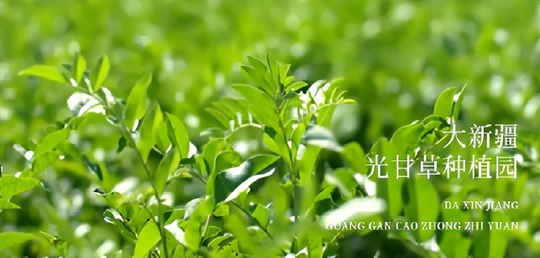 谷雨护肤品哪些单品卖得最好的,谷雨国货