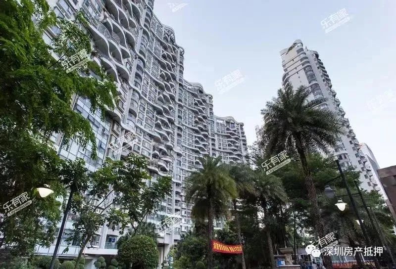 深圳学位房|大学区概念提出半年，目前学位房处境如何？