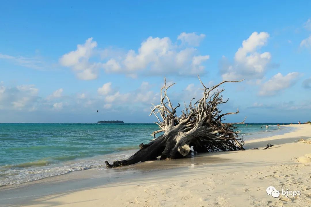 塞班岛为什么免签,塞班岛免签政策45天还是14天