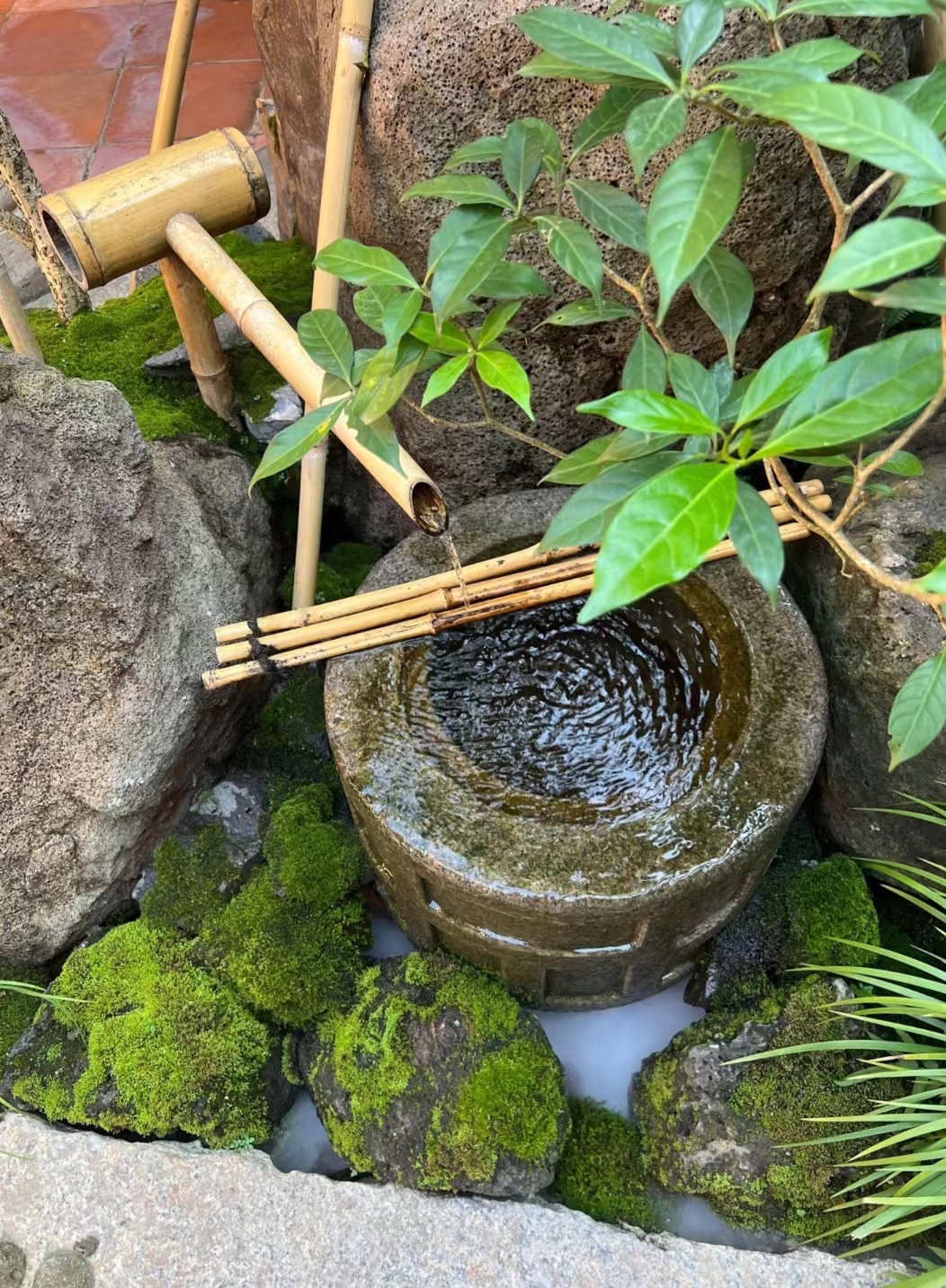 星驰觅食记，小院下午茶