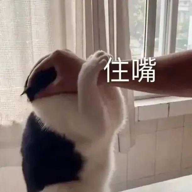 吐槽工作表情包,表情包我爱工作工作使我快乐