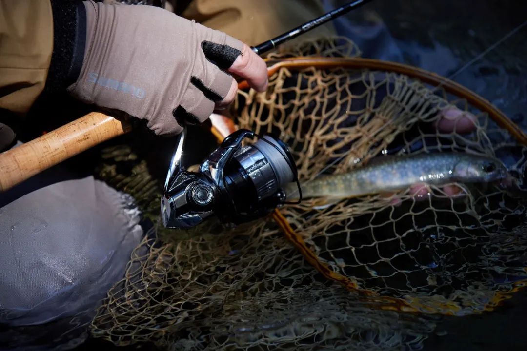 新vantage发布会,新vantage发动机