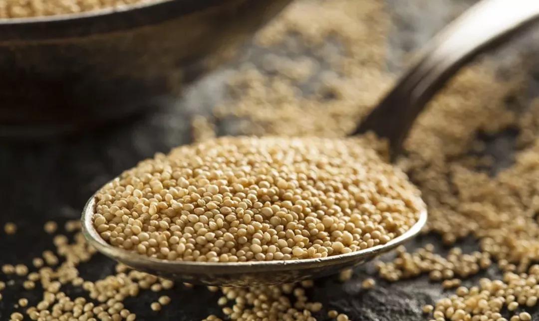 在美国可以吃到的蔬菜,美国超市里的菜都有哪些