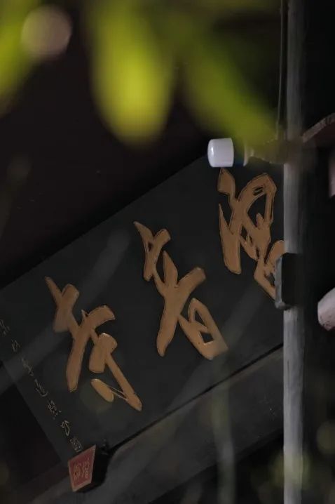 不上峨眉山自驾一日游最佳攻略,峨眉山全程不用步行攻略