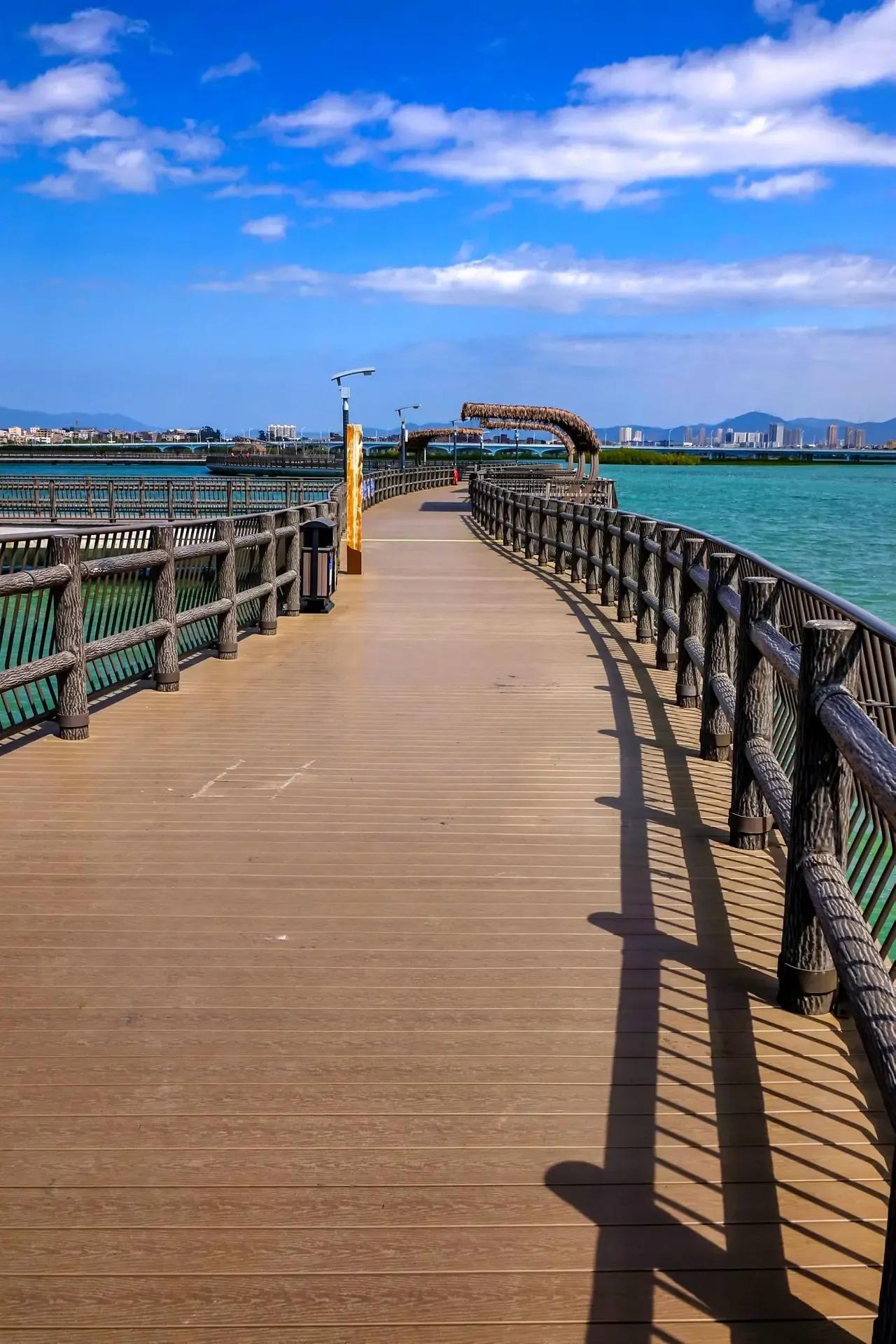 厦门是一座去了不想离开的城市,一座你来了就不想走的城市厦门