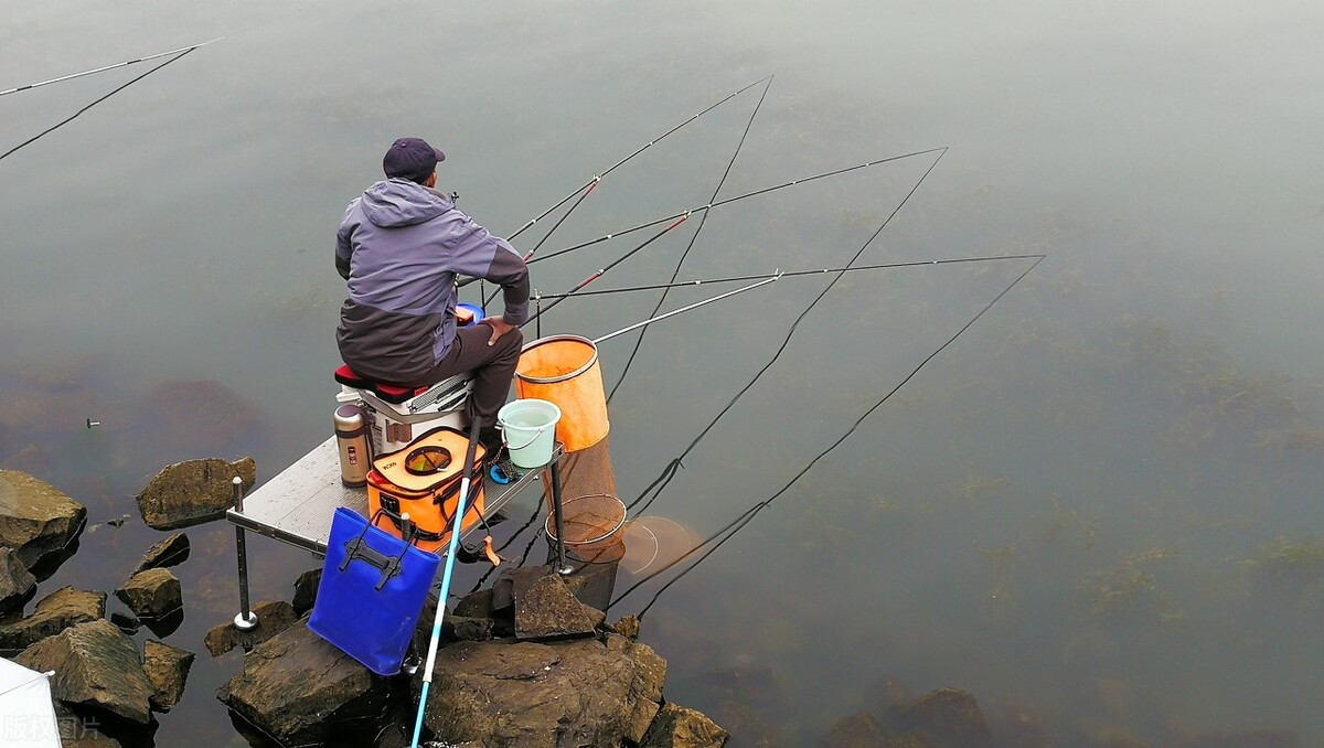 野钓鱼不开口怎么钓教你一招,钓鱼应该怎么钓才能钓到鱼