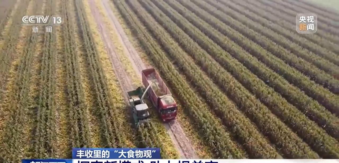 庄稼丰收但无人收割,庄稼丰收但无人收割来自什么俗话