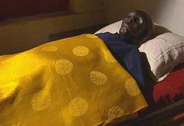 刷新三观的事件,世界自然奇闻异事大全