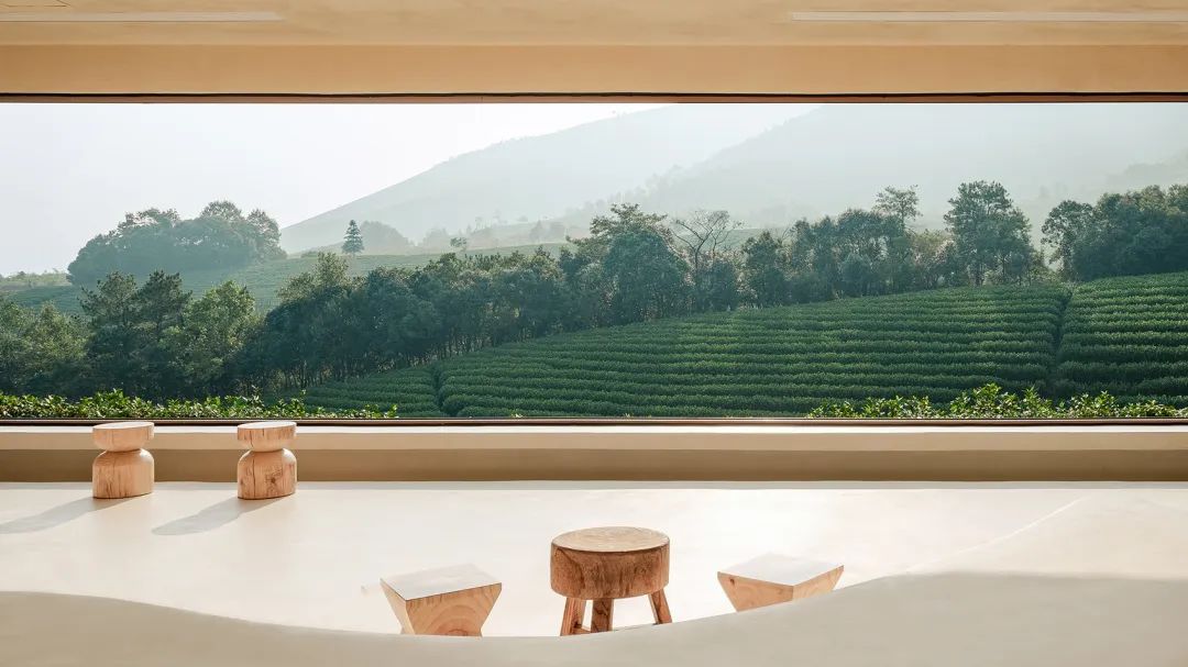 中国茶申遗成功吗,中国茶申遗成功44项名单