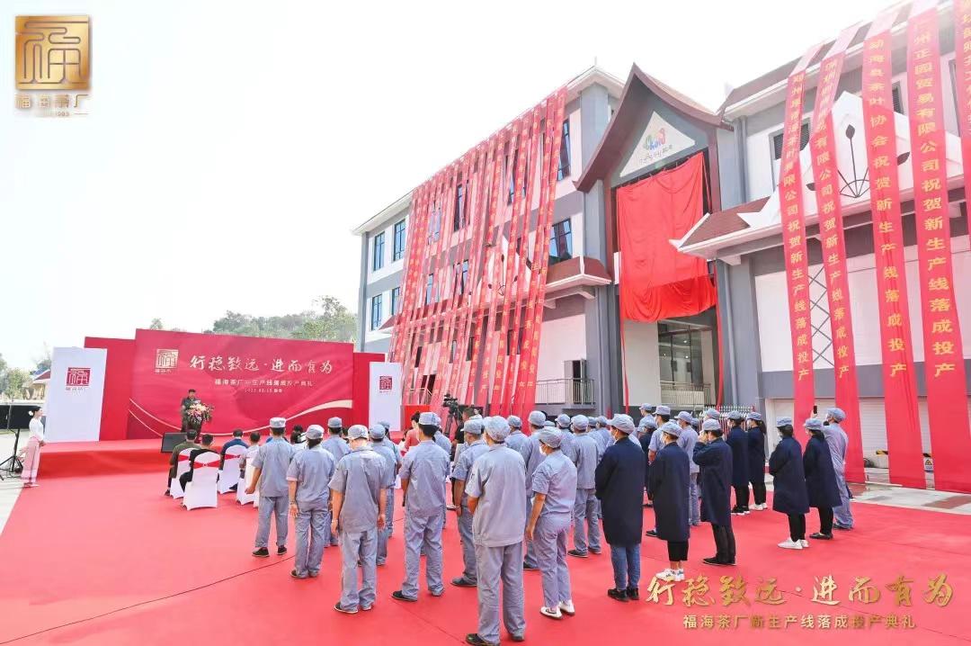 福海茶厂原料,福海茶厂地址