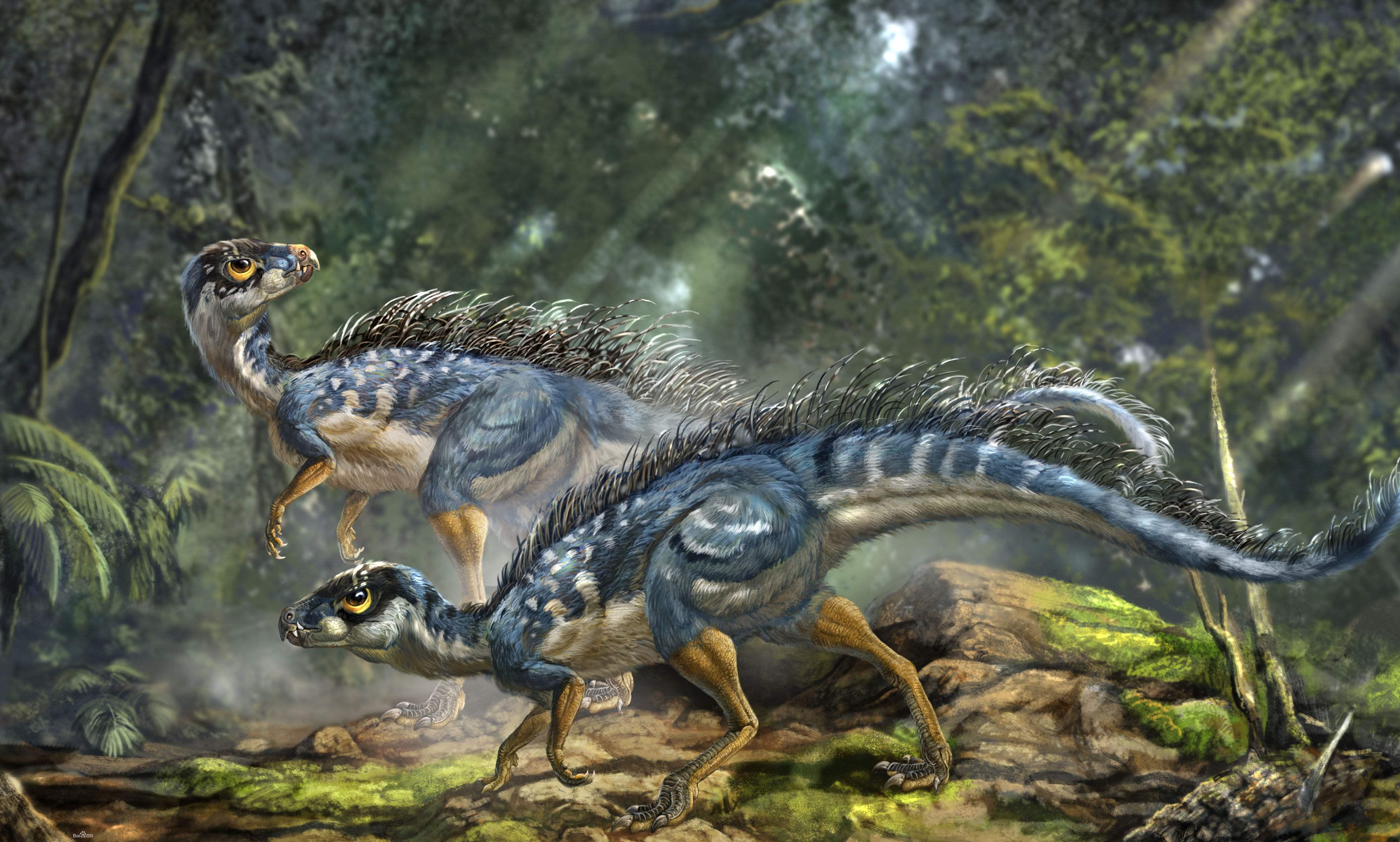 大型恐龙灭绝小型恐龙演化成鸟类,恐龙并没有灭绝而是进化成了鸡