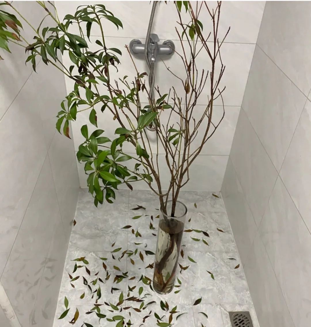 那些网红造假的后果 (造假的网红是真的吗)