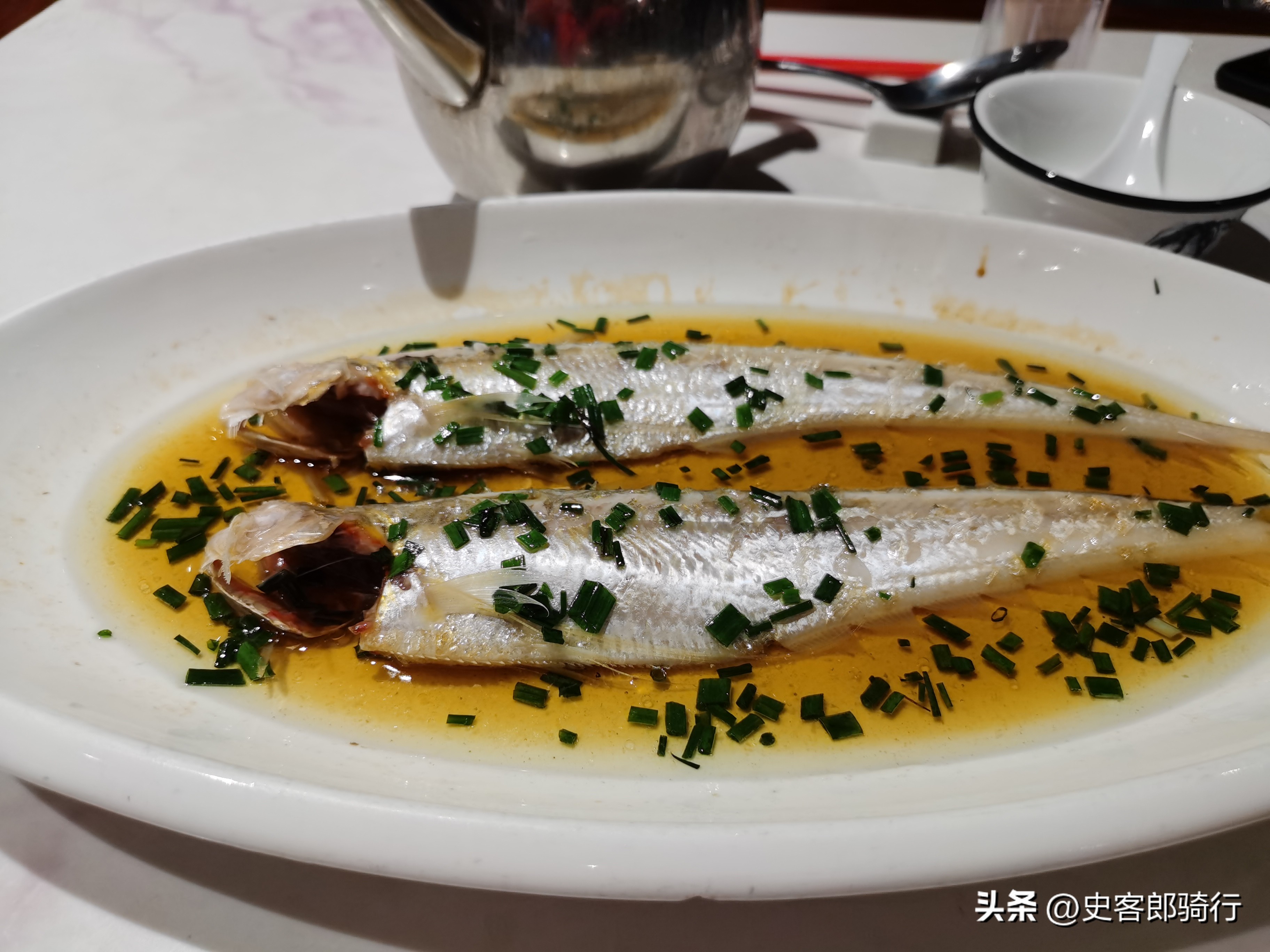 崇明骑行的视频,骑行崇明岛一圈多少公里