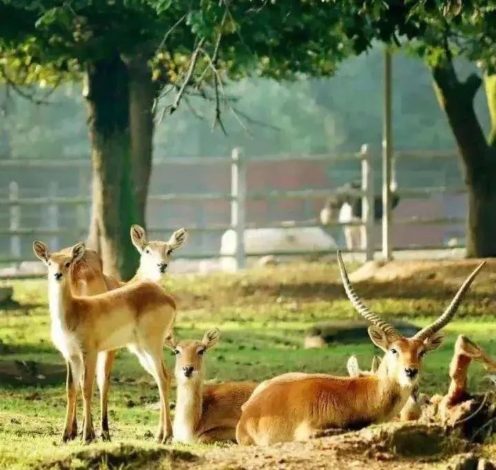西安旅游学生攻略,西安旅游攻略详细学生
