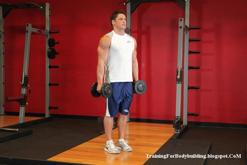 居家徒手增肌健身计划一周表图,家庭哑铃健身计划一周表男士