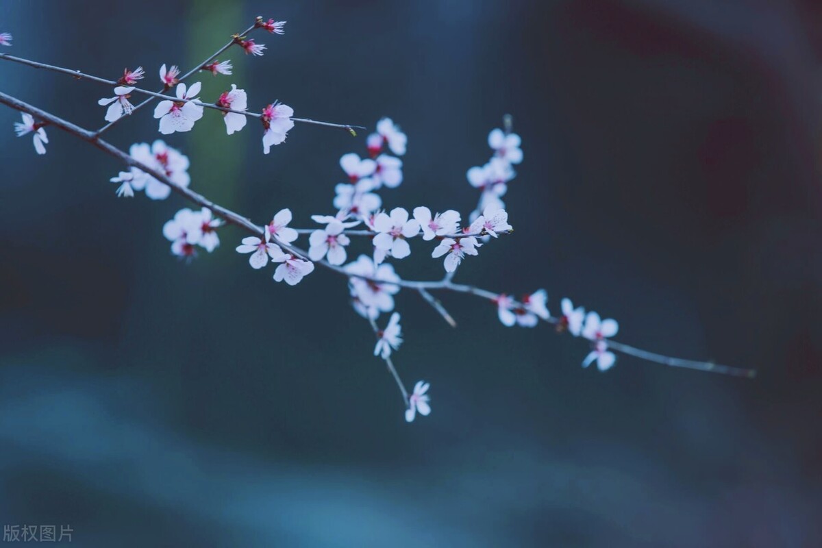 一个女人过得好不好都看这几点,一个女人最好状态就是打扮