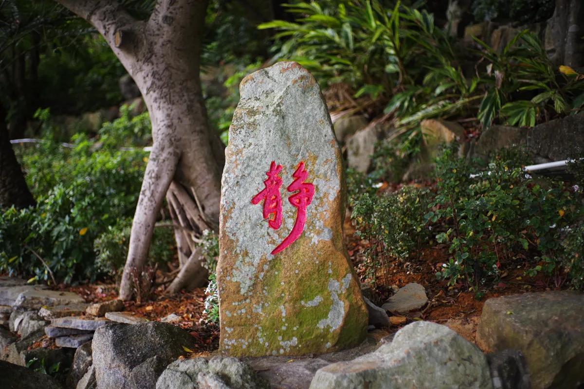 粤港澳大湾区四大地标,粤港澳大湾区景点排名