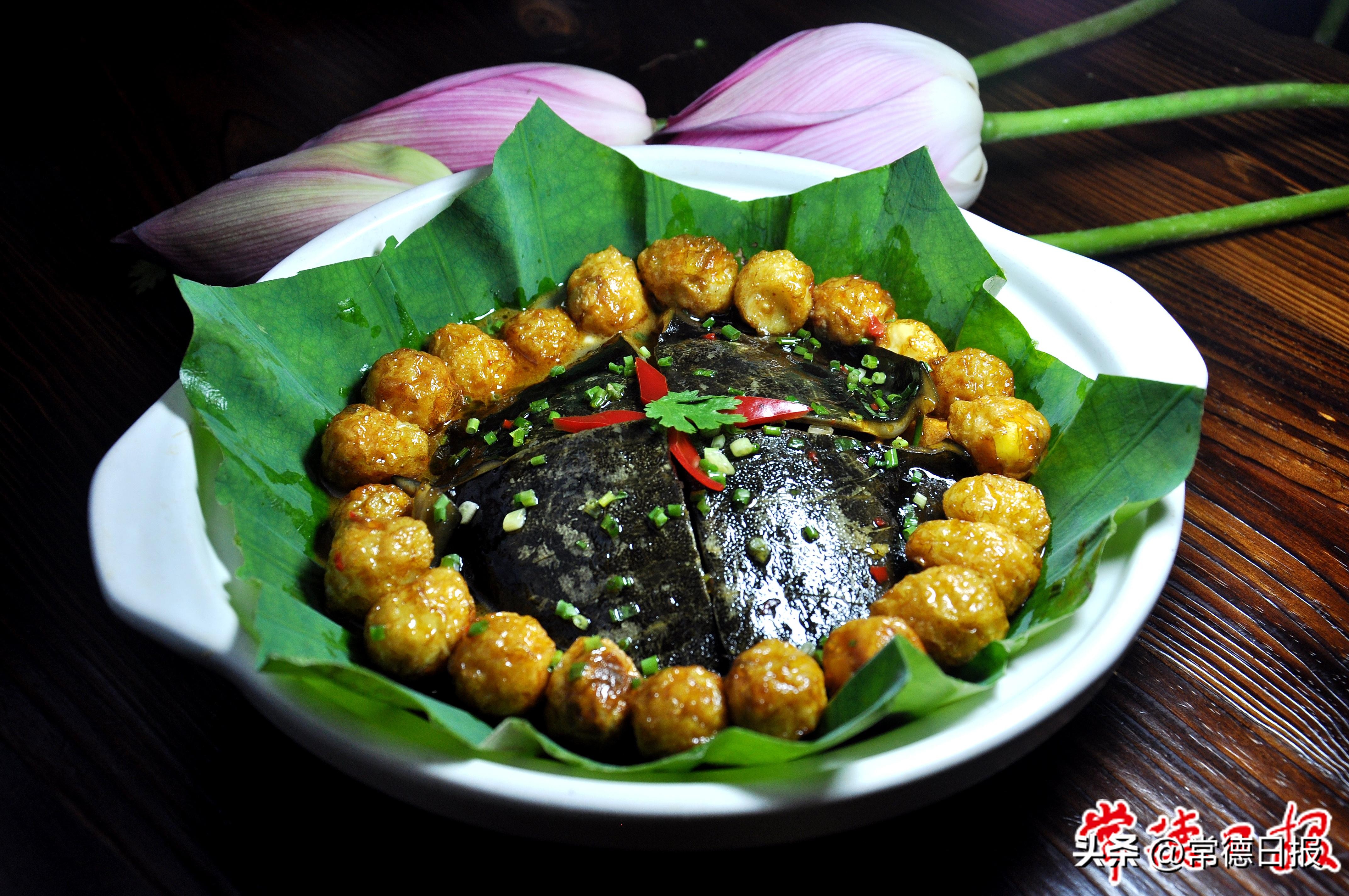 发展特色产业助力乡村振兴——写在常德甲鱼推介及招商活动举办之际