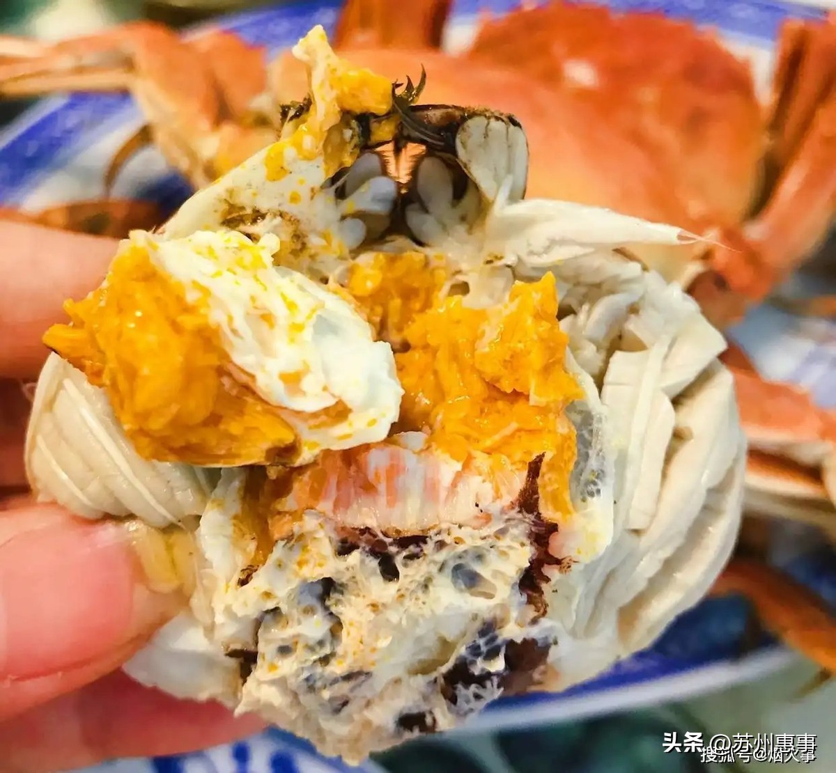 蟹鲜生阳澄湖大闸蟹吃法,阳澄湖大闸蟹正确吃法是怎样的