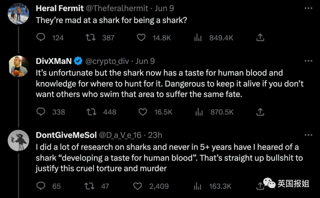 俄罗斯男子在海边被鲨鱼咬死,俄罗斯男子被鲨鱼咬死鲨鱼被捕