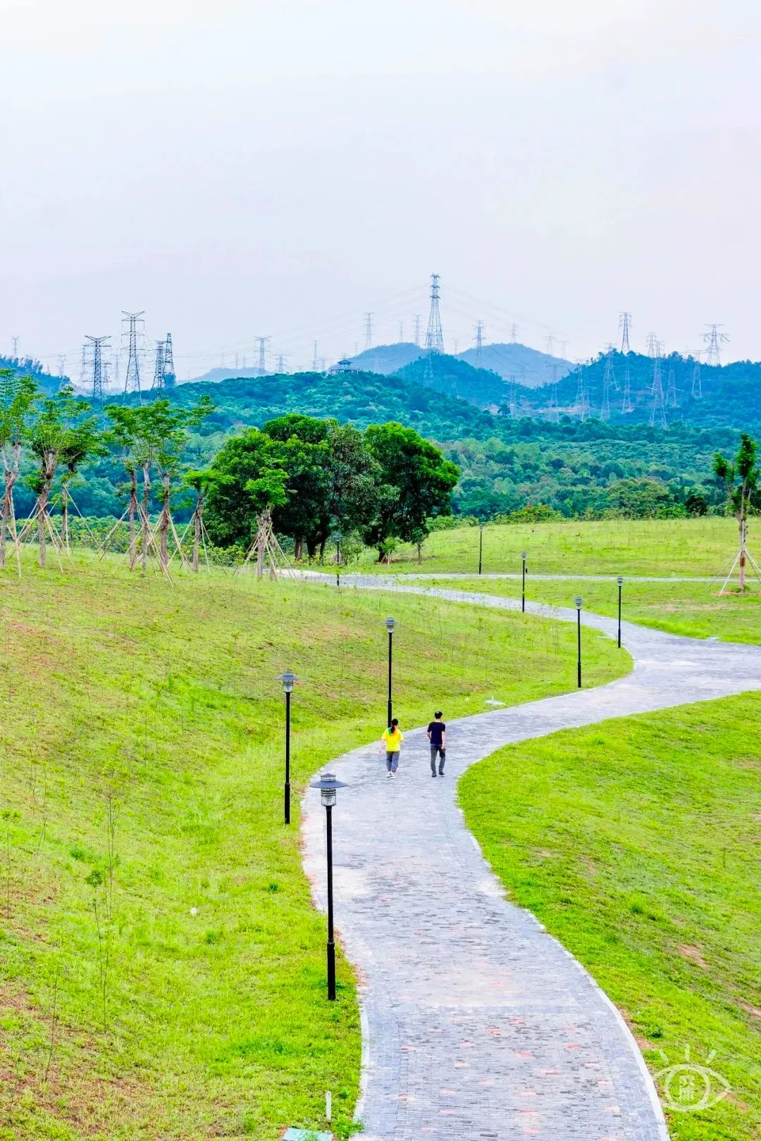 深圳周末带孩子免费游玩好去处,周末去哪玩推荐深圳