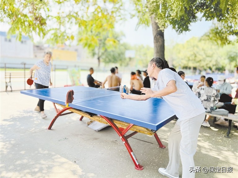 公园小型健身器材,保定市全民健身器材