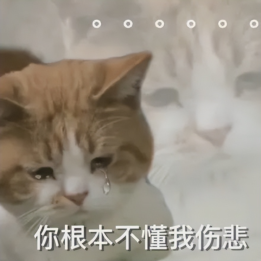 奢侈品涨价以后销量,奢侈品涨价反而哄抢