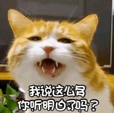 氯乙烯泄漏对猫粮的影响,美国聚乙烯泄漏对猫粮有影响么