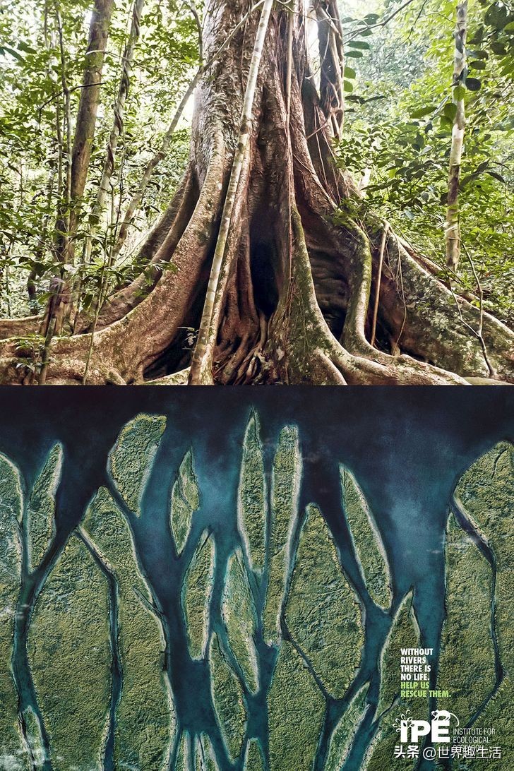 美国最奇葩的创意广告,国外十大最有创意的广告