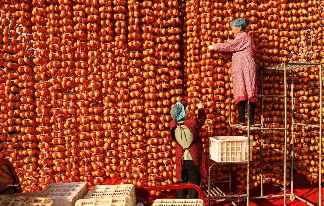 中央农办与中央财办的关系,中央农办职责