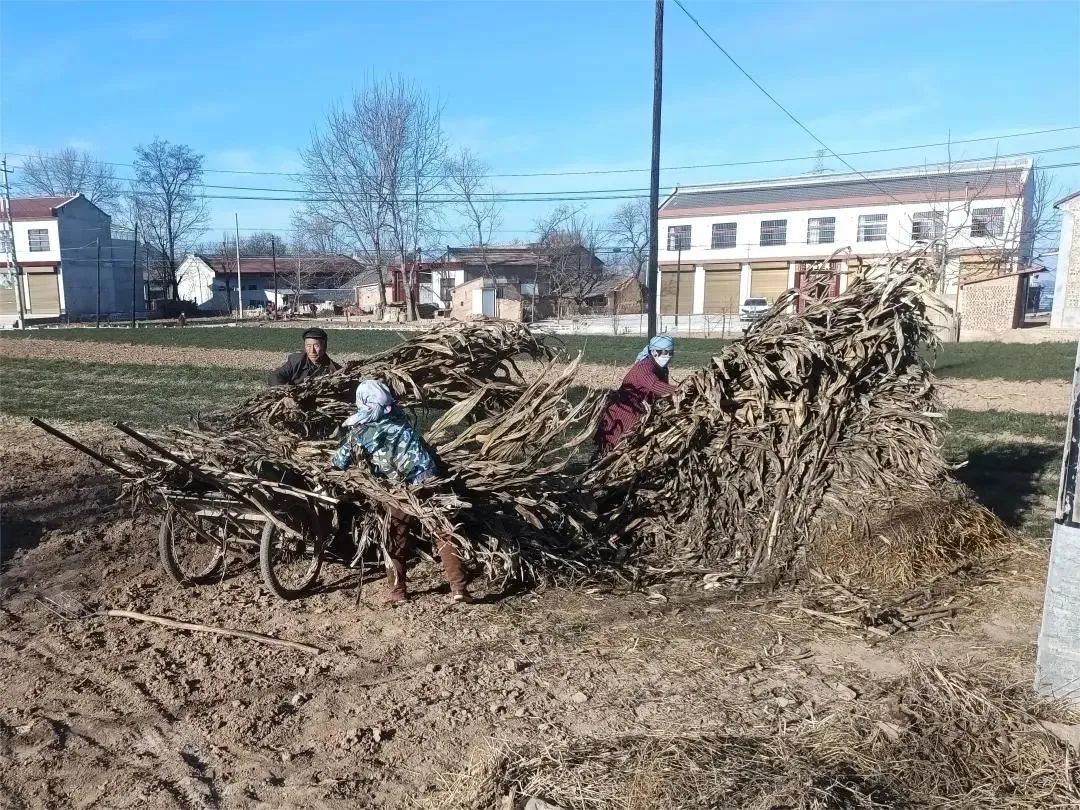 夏店镇人居环境整治推动乡村振兴,宋疃镇人居环境整治扮靓乡村颜值