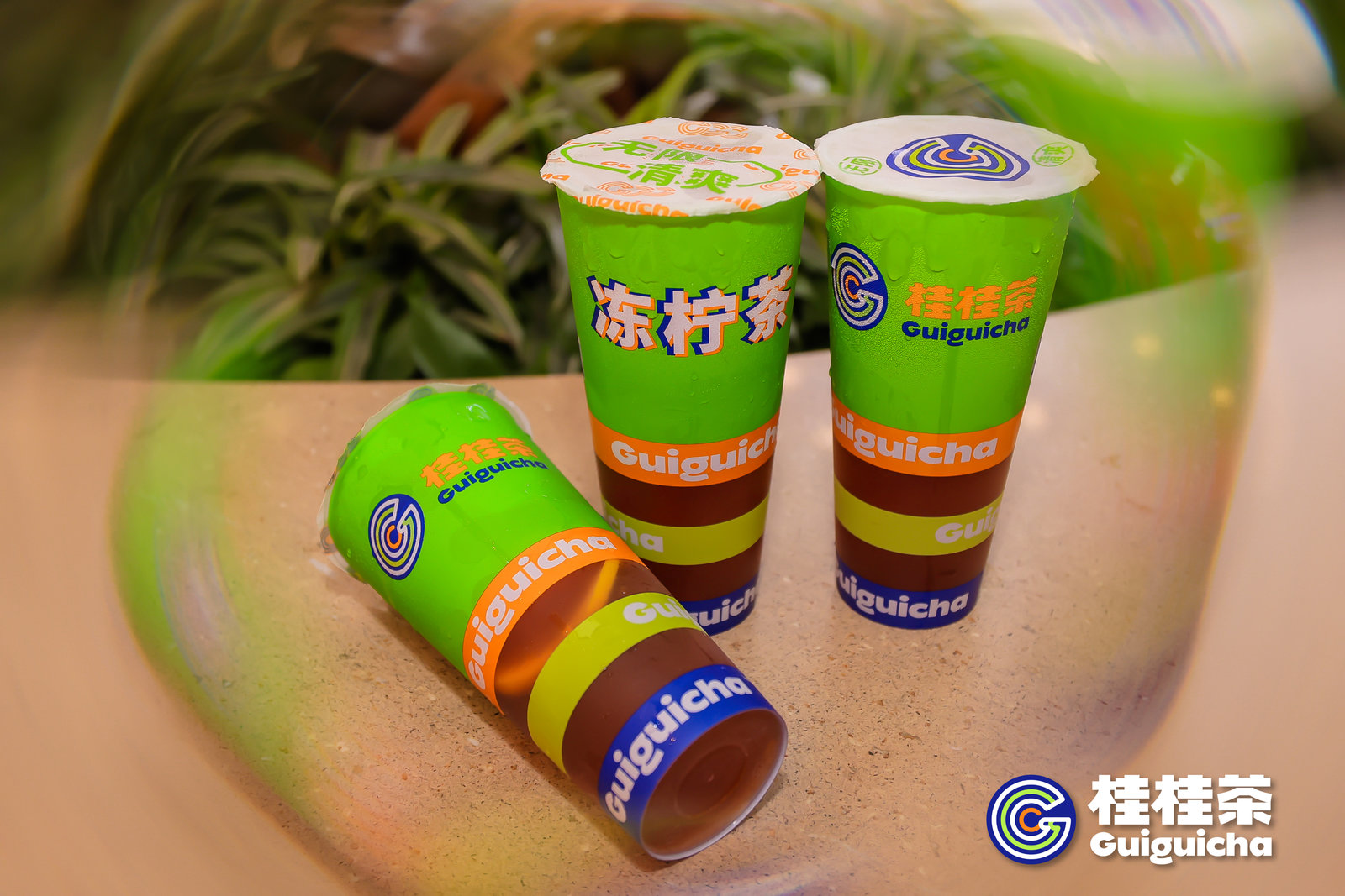 桂桂奶茶加盟店,桂桂茶奶茶加盟