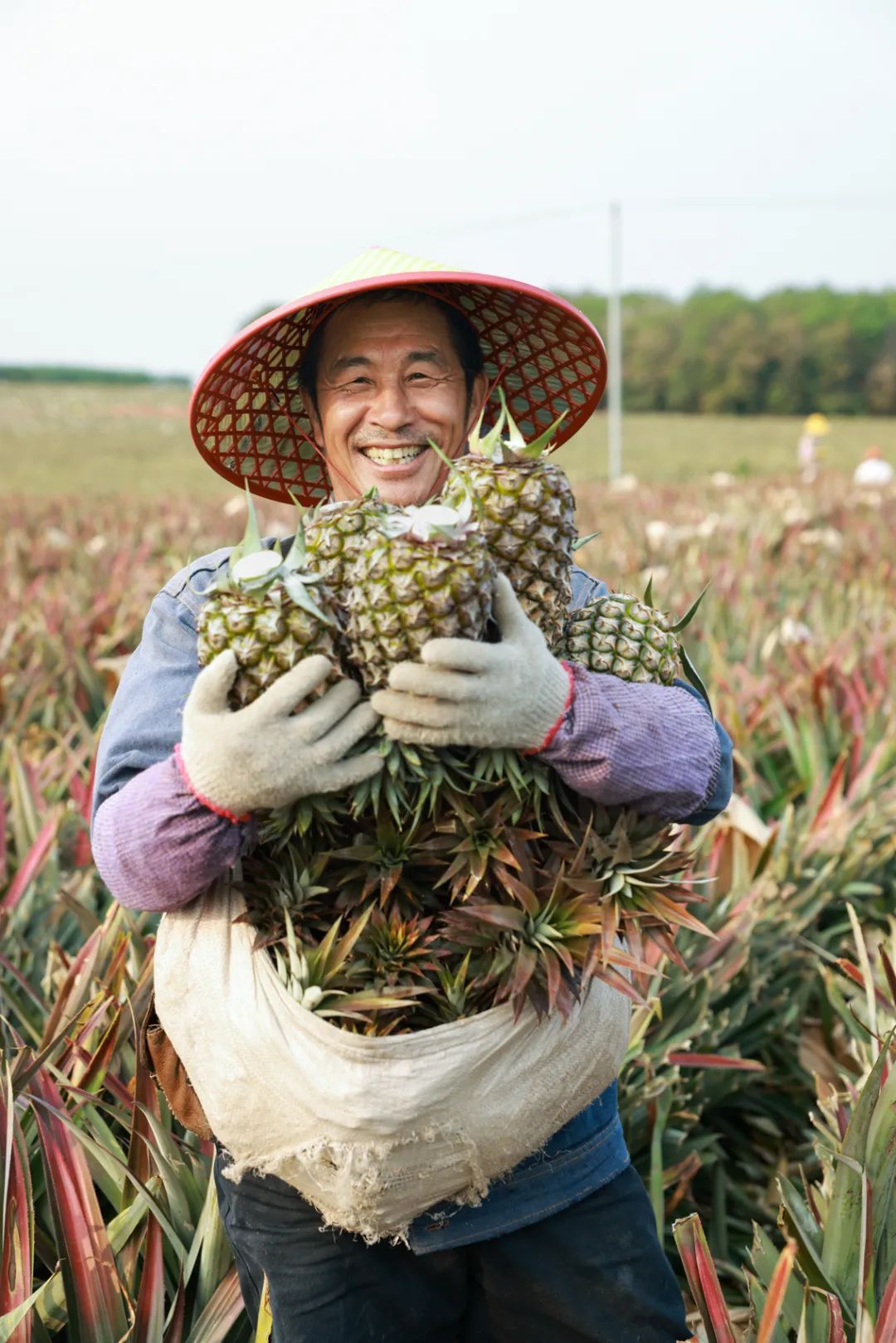 抖音电商商品上架,抖音电商山茶油
