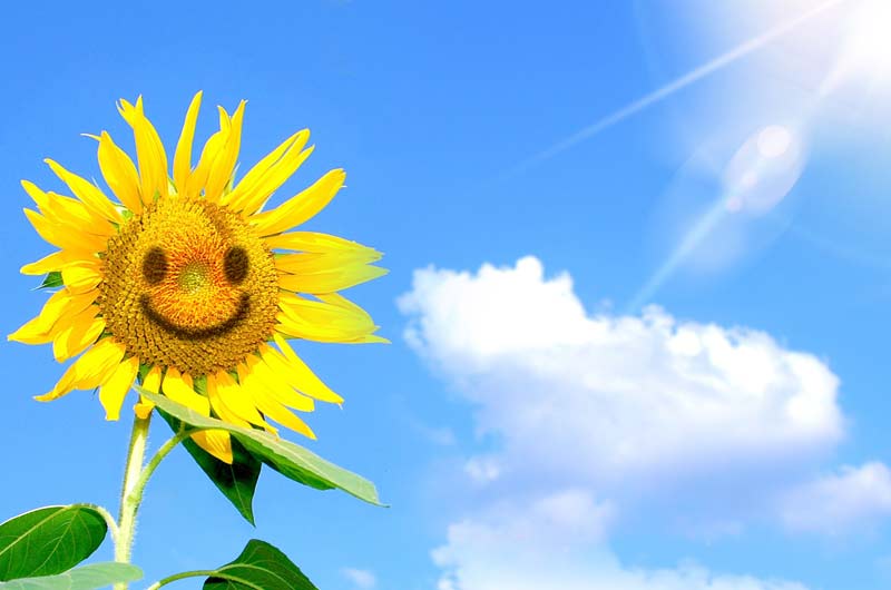 谷丙转氨酶高多少可以判定为肝癌,谷丙转氨酶偏高多少才是肝癌