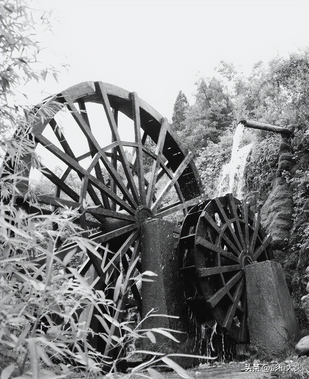 人力、风力、水力、畜力和蒸汽机（46）